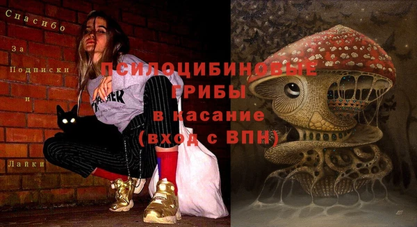 экстази Балахна