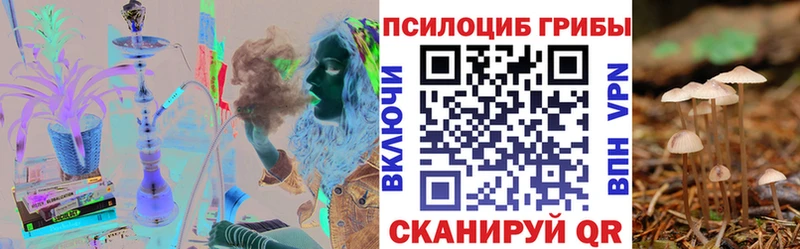 МЕГА рабочий сайт  Бирюсинск  Псилоцибиновые грибы Psilocybine cubensis 